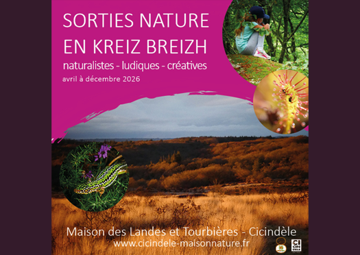 Ouvrir la diaporama Sorties Nature en Kreiz Breizh