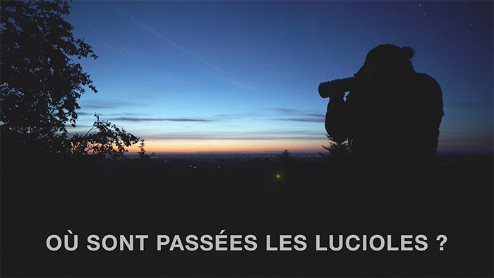 Affiche ciné plein air