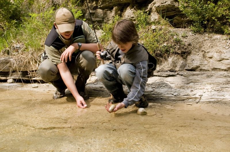 Ouvrir la diaporama truite-rivière