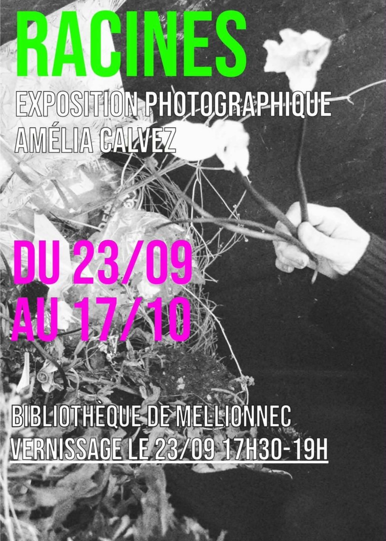 Ouvrir la diaporama Racines - Expo photo