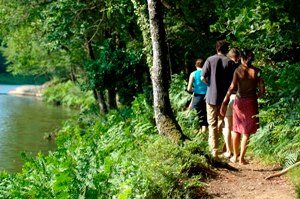 Bois de beaucours
