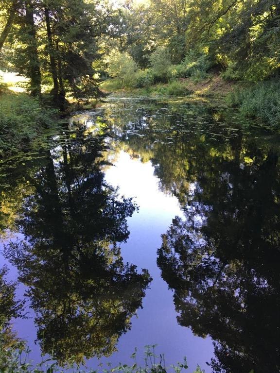 Etang_Manoir_Botcol_St_Nicolas_du_Pélem