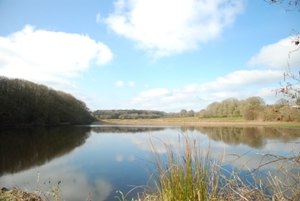 Ouvrir la diaporama Etang du Corong