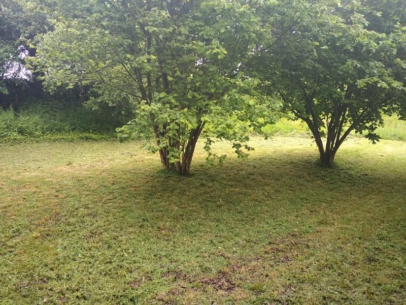 Ouvrir la diaporama Gite-jardin-le-botcol-Plouguernevel-Kefuss