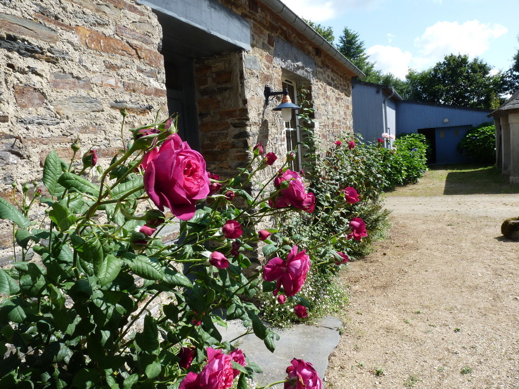 Ouvrir la diaporama Gîteetsesrosiers