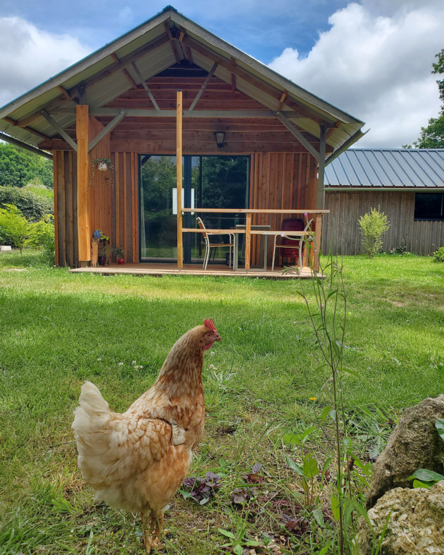 Ouvrir la diaporama kabane-merle-moqueur-terrasse