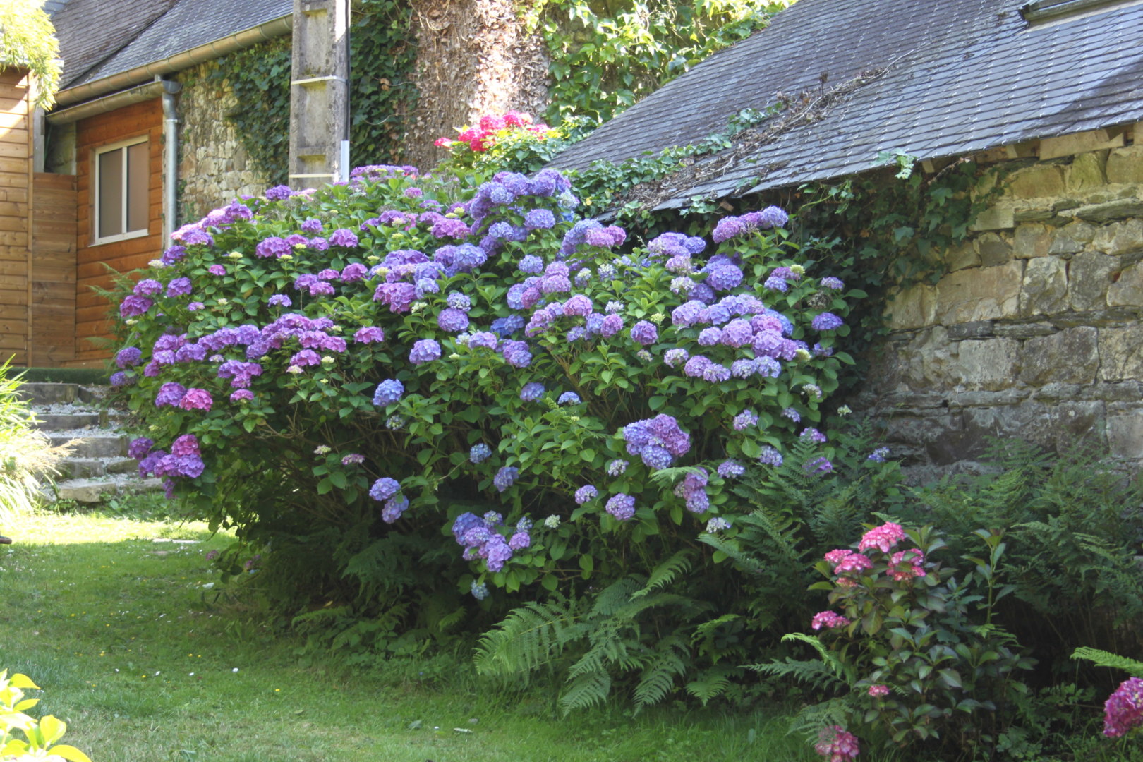 le jardin