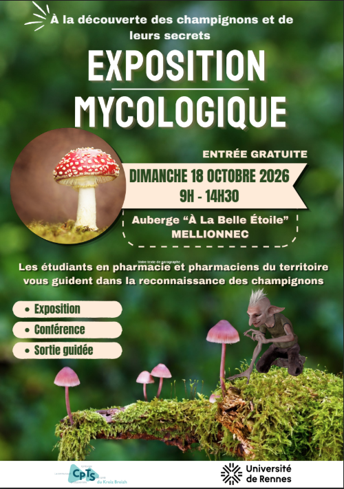 exposition mycologique