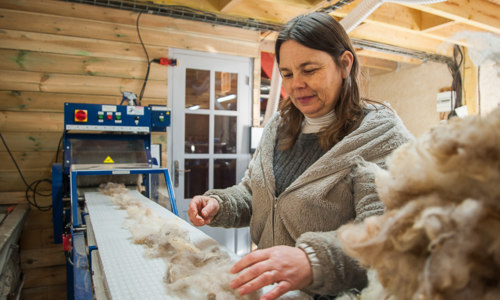 La Petite Filature Bretonne