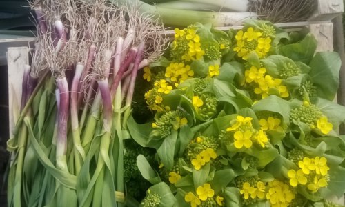 La ferme aux fraises