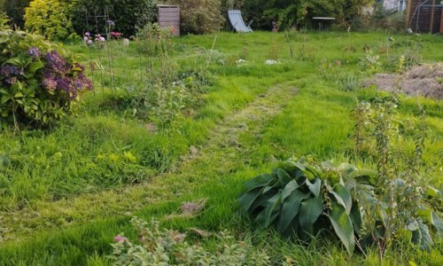 Une semaine au jardin