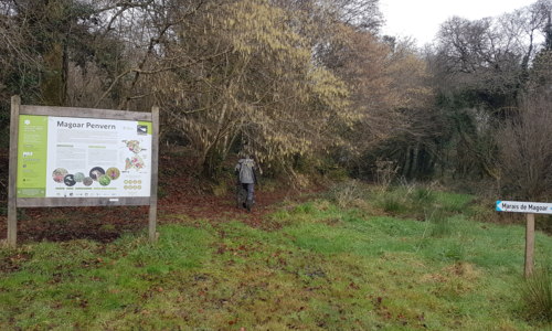 Découverte de la réserve naturelle de Glomel - Marais de Magoar Penvern