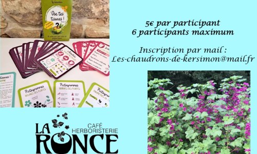 Atelier Ose tes Tisanes
