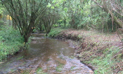 Chasse au trésor à la base de loisirs du Kreiz Breizh