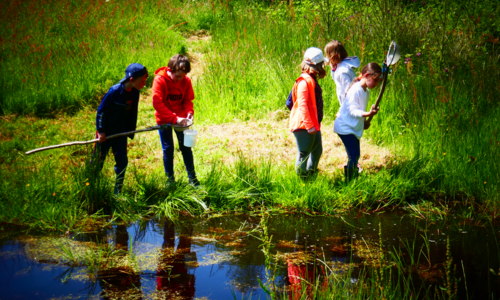 Au bord de l’eau