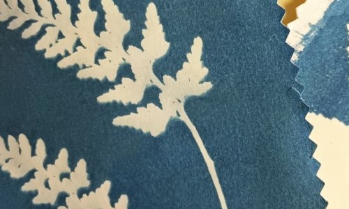 Atelier cyanotype
