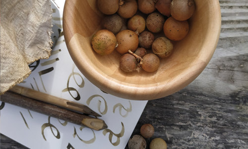 Les Recettes du copiste – atelier encre médiévale