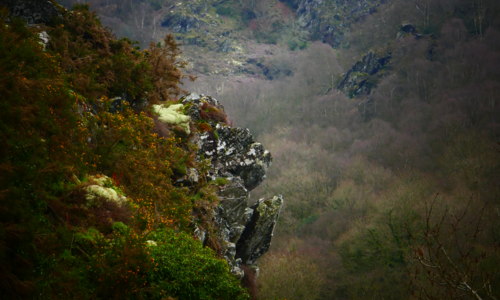 Les Gorges du Daoulas