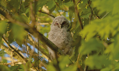 Projection documentaire : Un autre regard