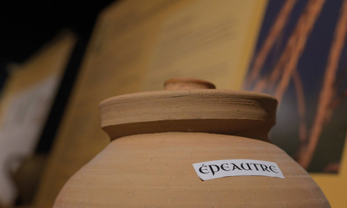 Conférence : L’alimentation de la joie selon Hildegarde de Bingen