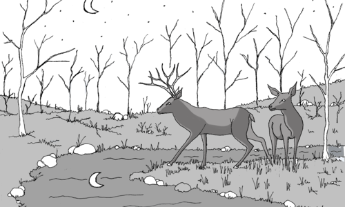 Atelier Dessin et infographie