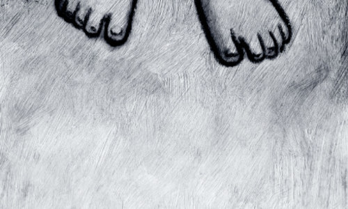 Rencontre avec Alain et Désirée Frappier