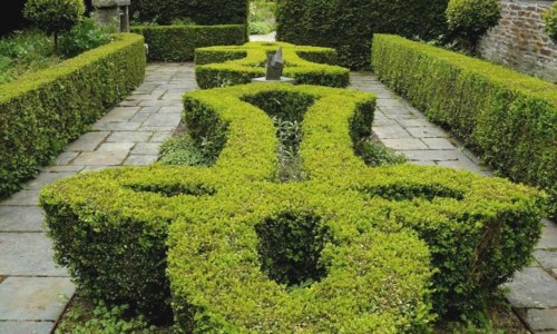 Jardin en ville, concert dans le jardin