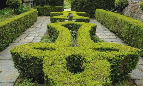 Concert au jardin | Duo Andantino & amis