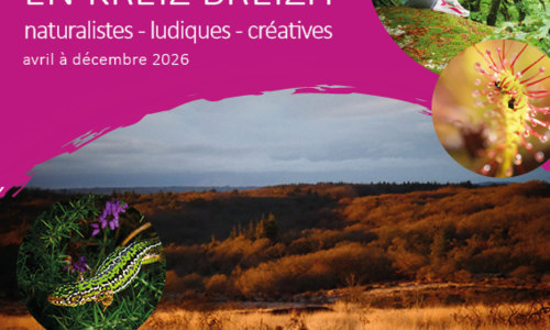 Le printemps dans la Lande - Sortie nature