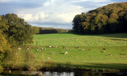 Randonnée guidée champêtre
