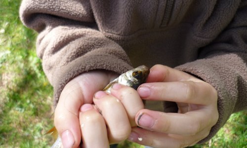 Je pêche mon 1er poisson