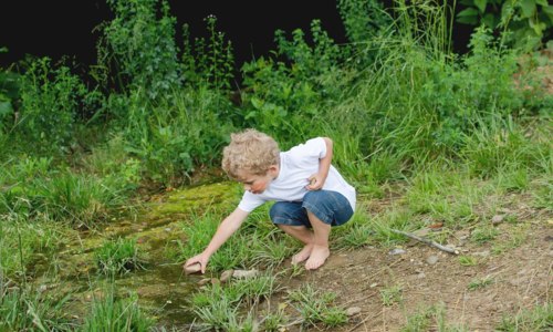Ateliers parents-enfants à la découverte sensorielle de la nature