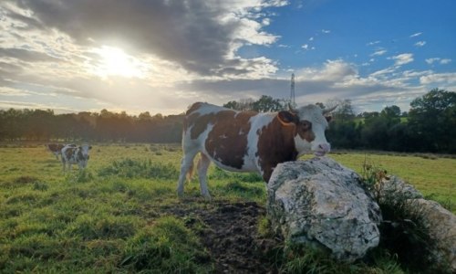 La ferme de Kermoël