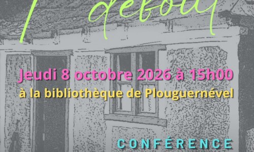 Les Maisons en pierres debout