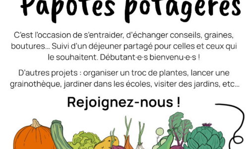 Papote potagère