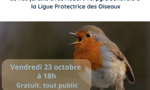 A la découverte des chants d'oiseaux