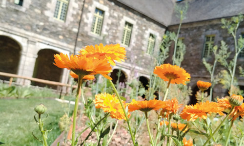 Création d'un baume