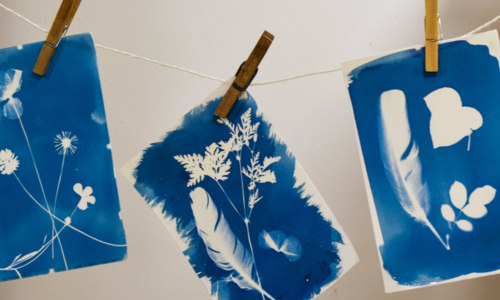 Atelier cyanotype