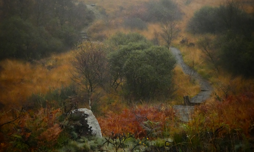 La lande automnale