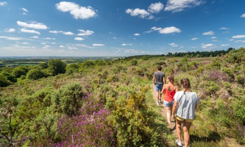 Les landes de Locarn