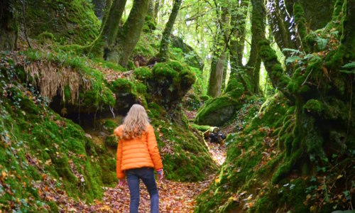 Le bois de Kerbescont