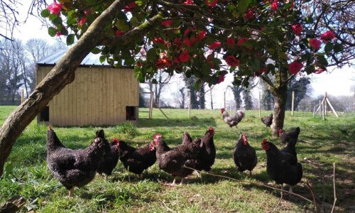 La ferme de Mamm Douar