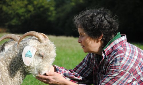 Mohair de l'Argoat