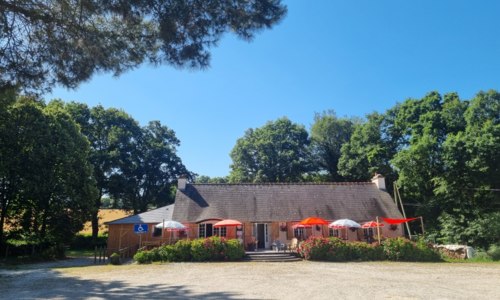 Camping - Un rayon de Blé noir