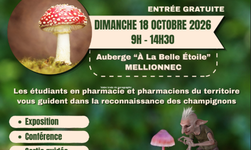 Exposition mycologique