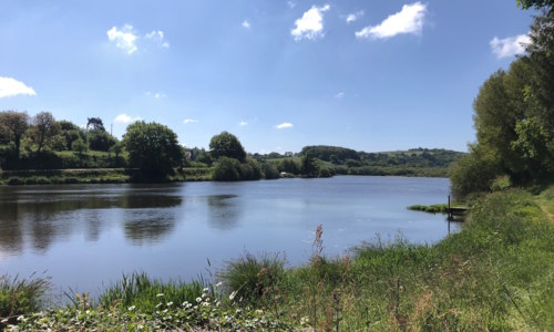L'étang du bourg