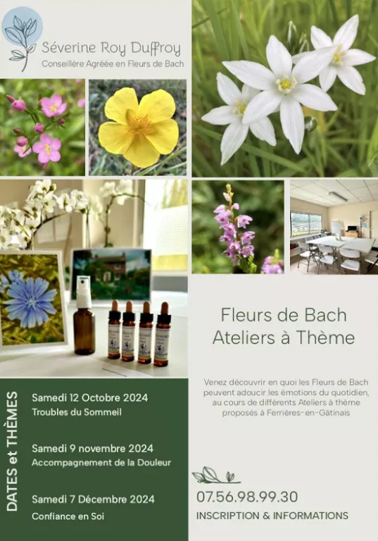 Atelier fleurs de Bach Le 9 nov 2024