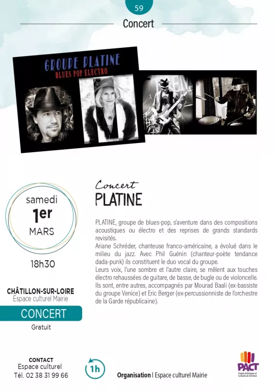 Concert du groupe "Platine" (blues-pop) Le 1 mars 2025