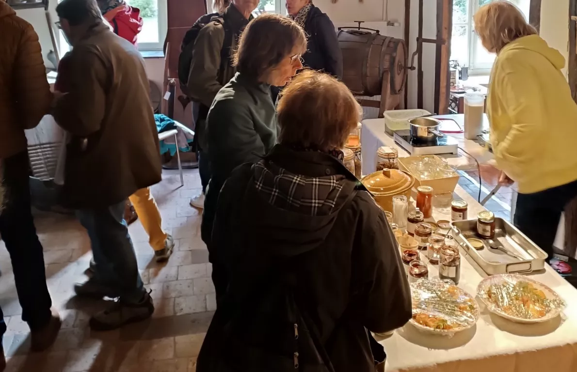 Animation forêt nourricière Le 20 oct 2024