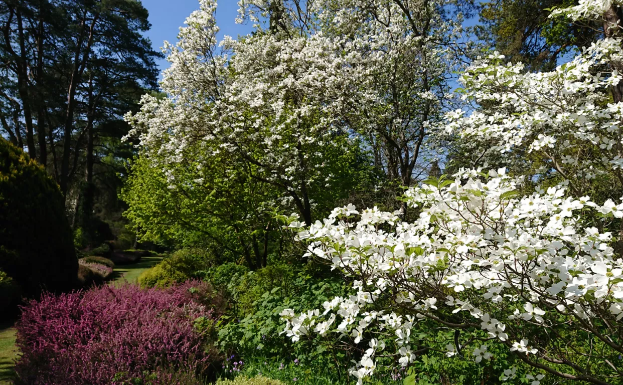 Le printemps florissant Du 1 au 10 mai 2025